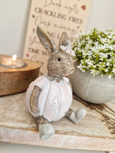 Load image into Gallery viewer, Rustic Pink Miniature Sitting Pumpkin Bunny