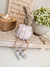 Load image into Gallery viewer, Rustic Pink Miniature Dangly Legged Sitting Pumpkin Bunny