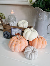 Load image into Gallery viewer, Orange, Cream & Grey Decorative Pumpkin Mix