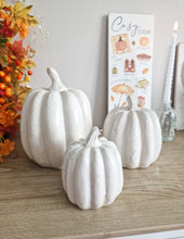 Load image into Gallery viewer, Rustic White Toned Heavy Ceramic Pumpkin Figure