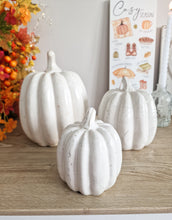 Load image into Gallery viewer, Rustic White Toned Heavy Ceramic Pumpkin Figure