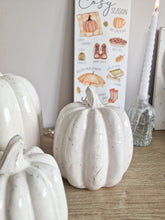 Load image into Gallery viewer, Rustic White Toned Heavy Ceramic Pumpkin Figure