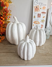 Load image into Gallery viewer, Rustic White Toned Heavy Ceramic Pumpkin Figure