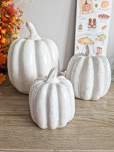 Load image into Gallery viewer, Rustic White Toned Heavy Ceramic Pumpkin Figure