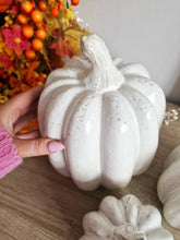 Load image into Gallery viewer, Rustic White Toned Heavy Ceramic Pumpkin Figure