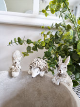 Load image into Gallery viewer, Autumn Hanging Animal Planter Decoration