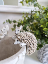 Load image into Gallery viewer, Autumn Hanging Animal Planter Decoration