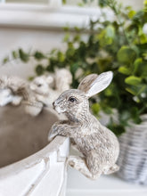 Load image into Gallery viewer, Autumn Hanging Animal Planter Decoration