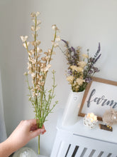 Load image into Gallery viewer, Green Wild Lupin Stem