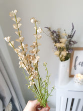 Load image into Gallery viewer, Green Wild Lupin Stem