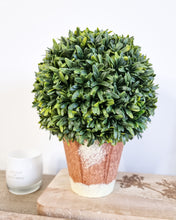 Load image into Gallery viewer, Faux Buxus Topiary Ball In Terracotta Planter