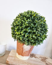 Load image into Gallery viewer, Faux Buxus Topiary Ball In Terracotta Planter
