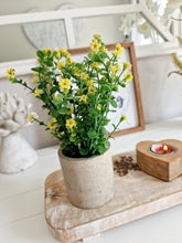 Load image into Gallery viewer, Dainty Yellow Floral Plant In Rustic Pot
