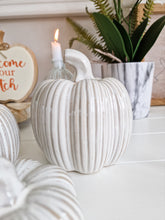 Load image into Gallery viewer, Grey &amp; Cream Toned Glossy Ceramic Pumpkin
