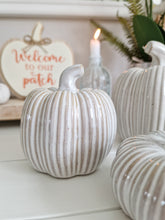 Load image into Gallery viewer, Grey &amp; Cream Toned Glossy Ceramic Pumpkin
