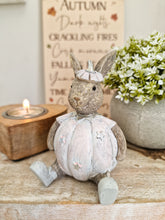 Load image into Gallery viewer, Rustic Pink Miniature Sitting Pumpkin Bunny
