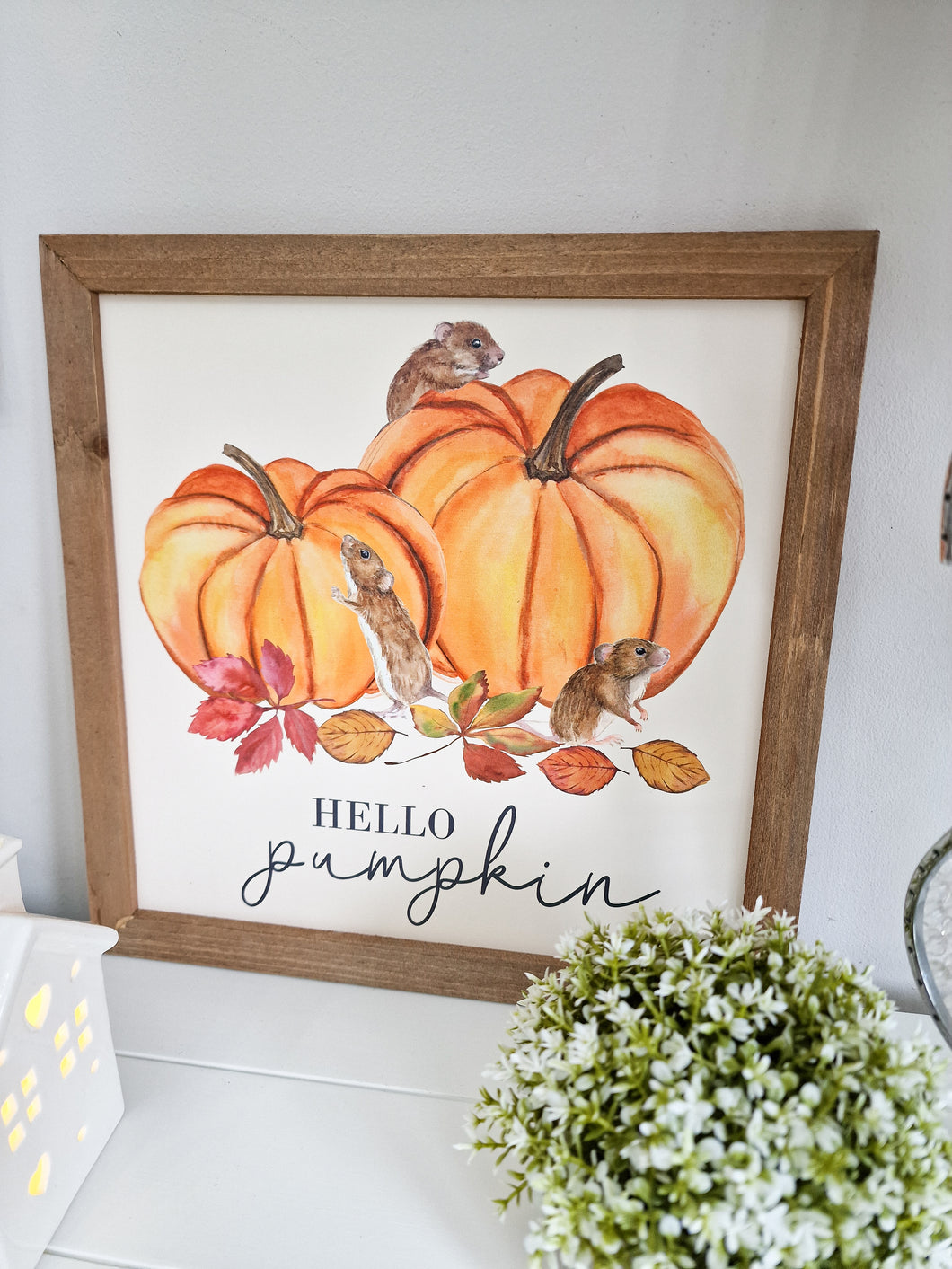 Hello Pumpkin Autumnal Themed Framed Plaque