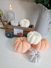 Load image into Gallery viewer, Orange, Cream &amp; Grey Decorative Pumpkin Mix
