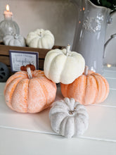 Load image into Gallery viewer, Orange, Cream &amp; Grey Decorative Pumpkin Mix
