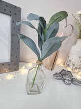 Load image into Gallery viewer, Green Leafy Lambs Ear Spray In A Glass Bottle
