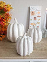 Load image into Gallery viewer, Rustic White Toned Heavy Ceramic Pumpkin Figure

