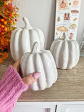 Load image into Gallery viewer, Rustic White Toned Heavy Ceramic Pumpkin Figure

