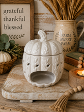 Load image into Gallery viewer, Autumn Light Grey Ceramic Pumpkin Wax Melter
