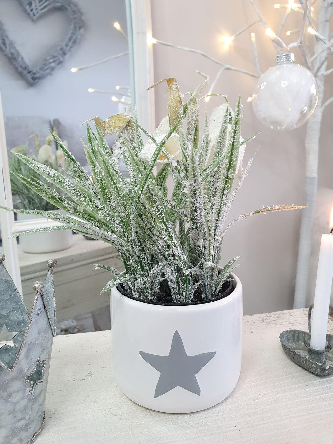 Frosted White Fritillaria Plant