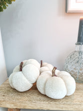 Load image into Gallery viewer, White Mini Velvet Pumpkins - Pack 3
