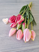 Load image into Gallery viewer, Fuchsia OR Baby Pink Tulip Stem Bunch
