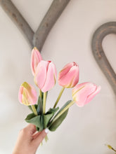 Load image into Gallery viewer, Fuchsia OR Baby Pink Tulip Stem Bunch
