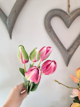 Load image into Gallery viewer, Fuchsia OR Baby Pink Tulip Stem Bunch
