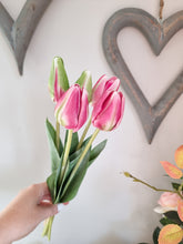 Load image into Gallery viewer, Fuchsia OR Baby Pink Tulip Stem Bunch
