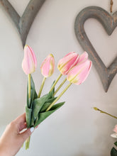 Load image into Gallery viewer, Fuchsia OR Baby Pink Tulip Stem Bunch
