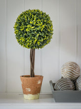 Load image into Gallery viewer, Faux Topiary Buxus Ball Tree In Terracotta Pot
